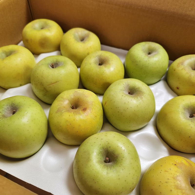 프룻하늬님의 장터 판매 상품 [시나노골드(가정용) 3kg 5kg] 첨부 사진