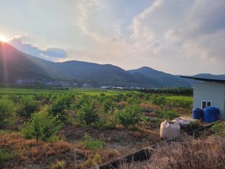 임종대님의 자유주제 · 자유게시판 작성글 사진