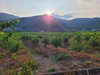 임종대님의 자유주제 · 자유게시판 작성글 사진