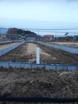 팜모닝 자유주제·자유게시판 게시글 이미지