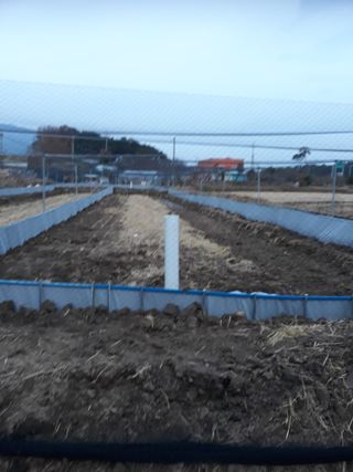 김석현님의 자유주제 · 자유게시판 작성글 사진