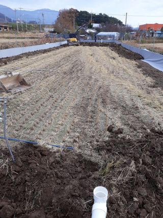 김석현님의 자유주제 · 자유게시판 작성글 사진