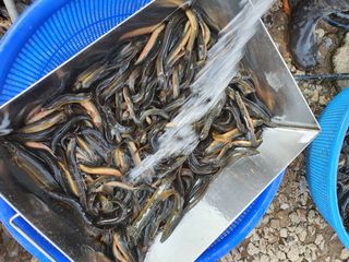 김석현님의 자유주제 · 자유게시판 작성글 사진