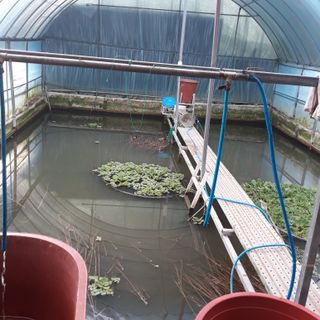 김석현님의 자유주제 · 자유게시판 작성글 사진