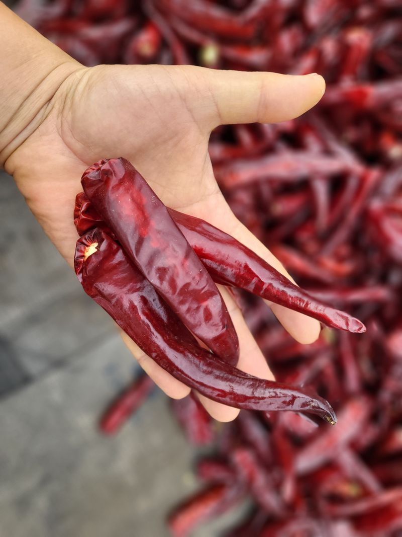 장터 상품 [건고추입니다] 썸네일