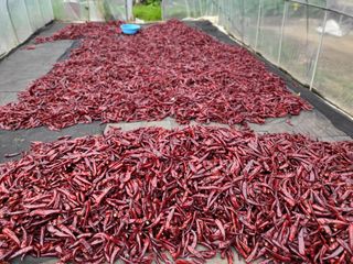 박무순님의 작성글 사진