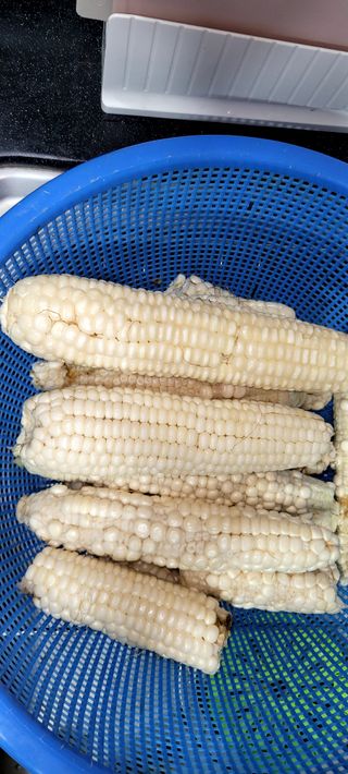 행복농장님의 자유주제 · 자유게시판 작성글 사진