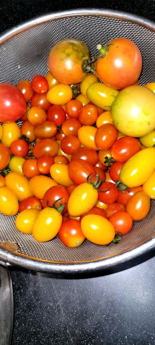 행복농장님의 자유주제 · 자유게시판 작성글 사진