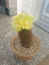 팜모닝 우리동네·동네수다 게시글 이미지