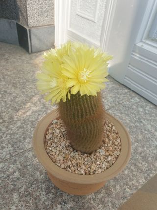 들깨19622님의 우리동네 · 동네수다 작성글 사진