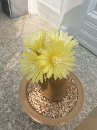 들깨19622님의 우리동네 · 동네수다 작성글 사진