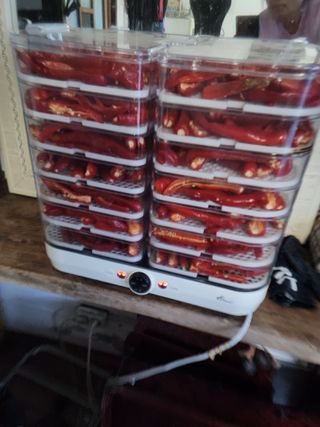 권춘화님의 고추 · 수확 작성글 사진