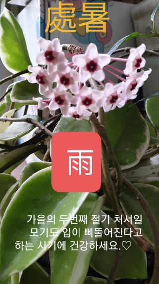 강윤원 보림팜(주)님의 자유주제 · 사진전 작성글 사진