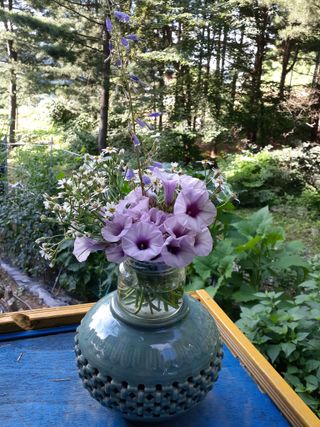 인생은 소풍처럼님의 고구마 · 자유게시판 작성글 사진