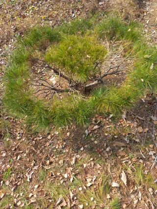 인생은 소풍처럼님의 고구마 · 자유게시판 작성글 사진