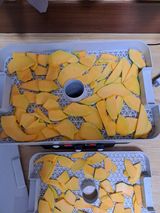 팜모닝 자유주제·자유게시판 게시글 이미지