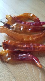 팜모닝 고추·저장•가공 게시글 이미지