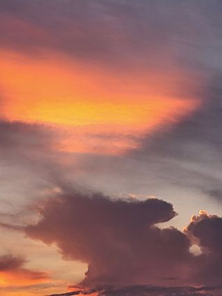 김상진님의 콩 · 자유게시판 작성글 사진