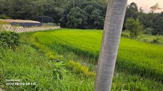 초보농부님의 벼 · 영농일지 작성글 사진