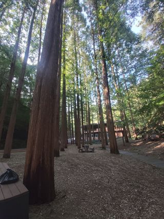 ahnda님의 자유주제 · 건의해요 작성글 사진