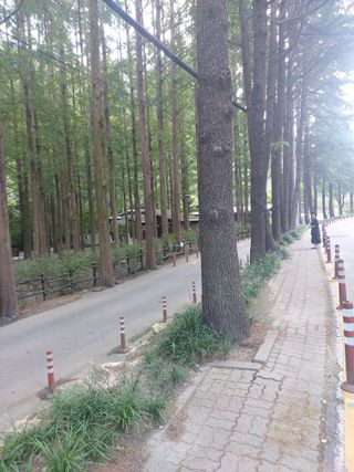 ahnda님의 자유주제 · 건의해요 작성글 사진