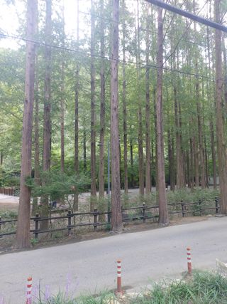 ahnda님의 자유주제 · 건의해요 작성글 사진