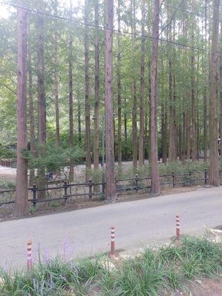 ahnda님의 자유주제 · 건의해요 작성글 사진