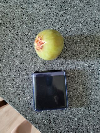 설죽 문평래님의 자유주제 · 자유게시판 작성글 사진