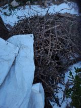 팜모닝 파·영농일지 게시글 이미지