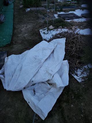 박정하님의 파 · 영농일지 작성글 사진