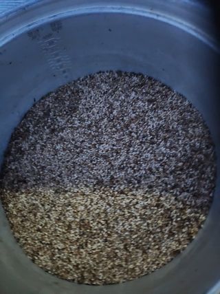 박정하님의 파 · 영농일지 작성글 사진