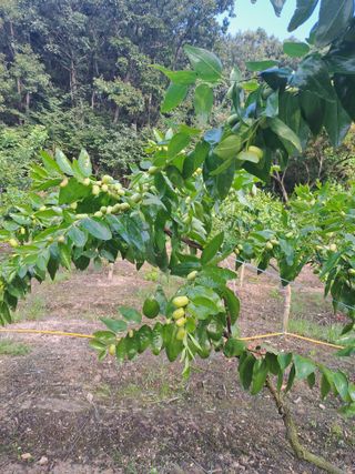 박성기님의 자유주제 · 자유게시판 작성글 사진