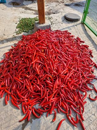 박성기님의 자유주제 · 자유게시판 작성글 사진