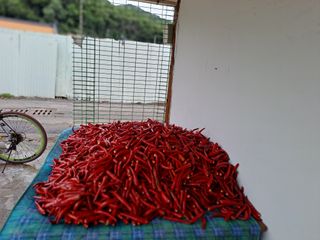 박성기님의 자유주제 · 자유게시판 작성글 사진