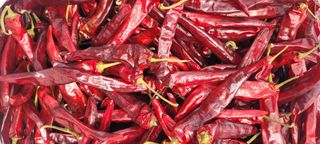 이균영님의 고추 · 수확 작성글 사진