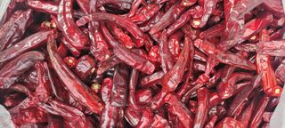 이균영님의 고추 · 수확 작성글 사진