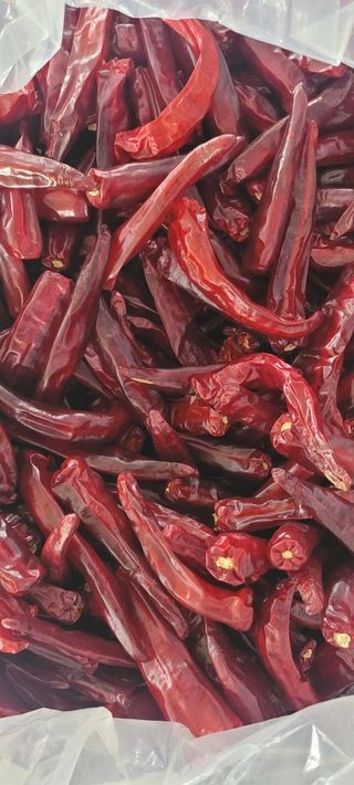 이균영님의 고추 · 수확 작성글 사진