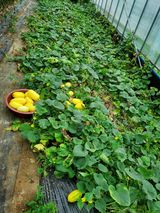 팜모닝 작목반,동호회 등 나의 모임은?·참여글 게시글 이미지