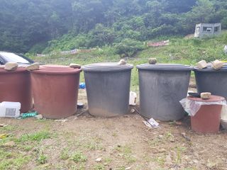 당근한개님의 기타작물 · 자유게시판 작성글 사진