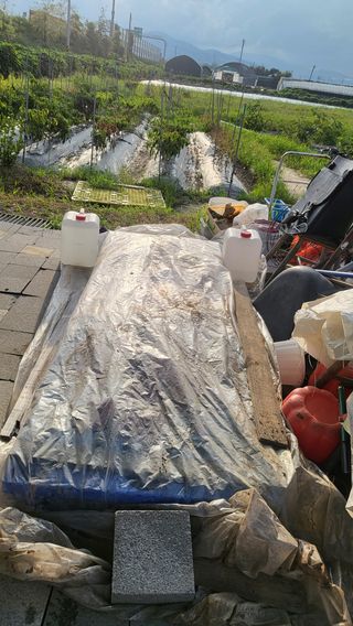 늘푸른 농장주님의 고추 · 영농일지 작성글 사진