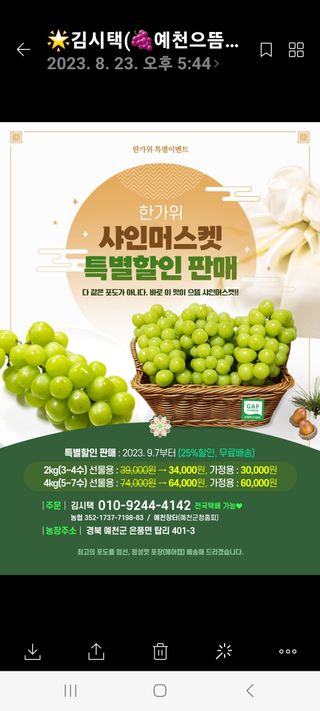 김시택샤인머스켓님의 작성글 사진