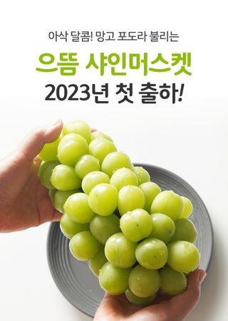 김시택샤인머스켓님의 작성글 사진