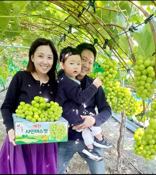 김시택샤인머스켓님의 작성글 사진