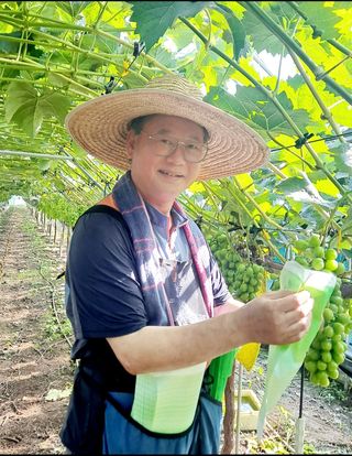 김시택샤인머스켓님의 작성글 사진