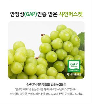 김시택샤인머스켓님의 작성글 사진