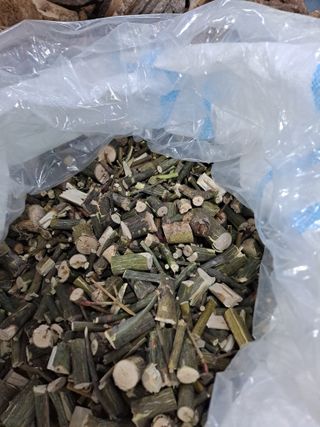 백작약님의 작성글 사진