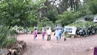 김광국님의 작목반,동호회 등 나의 모임은? · 참여글 작성글 사진