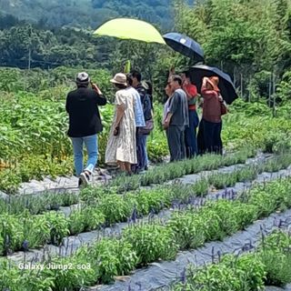 김광국님의 작목반,동호회 등 나의 모임은? · 참여글 작성글 사진