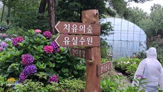 김광국님의 작목반,동호회 등 나의 모임은? · 참여글 작성글 사진