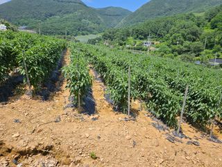 알 수 없음님의 작성글 사진